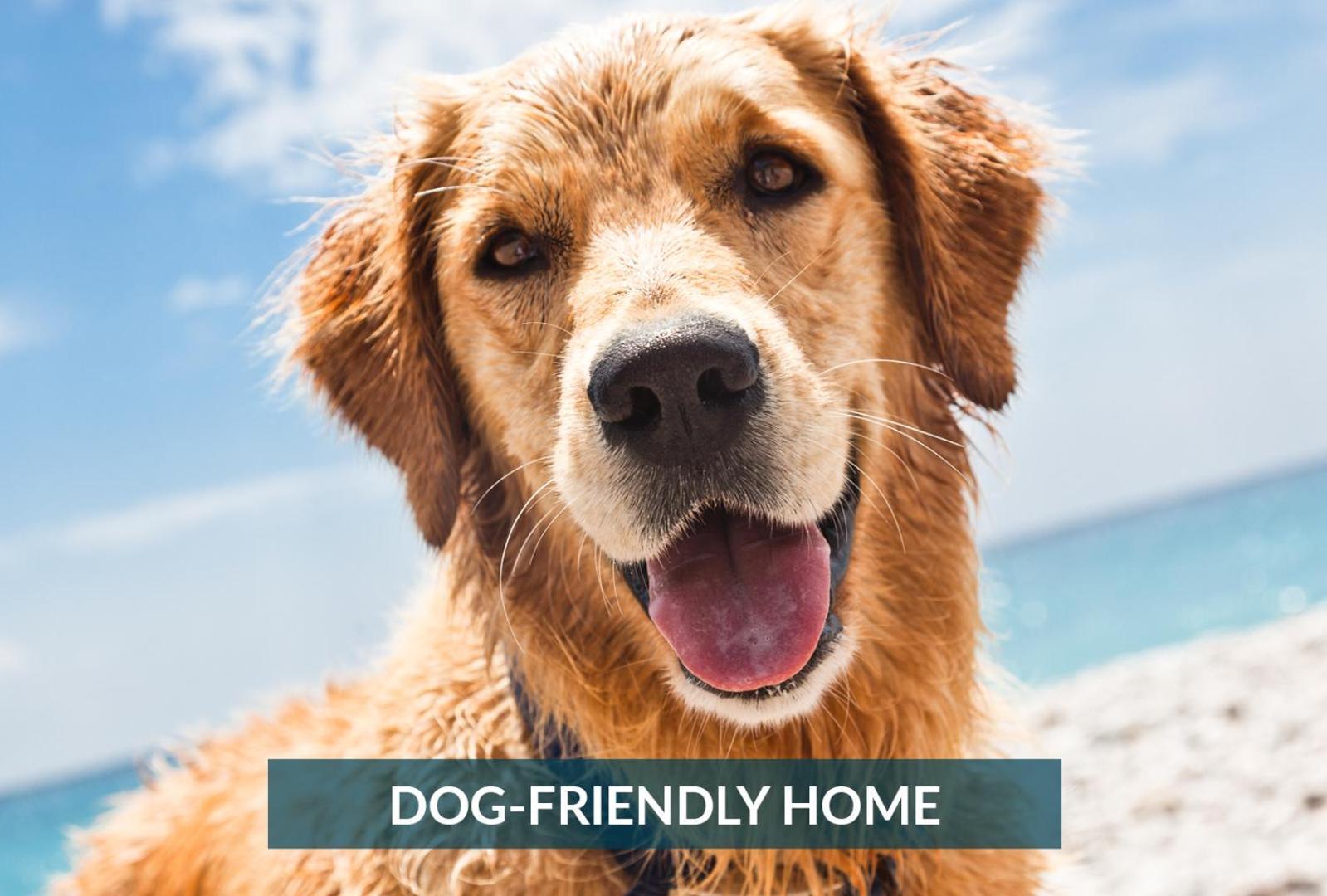 5508 Southern Comfort Dog Friendly Shared Pool Kill Devil Hills Exterior foto
